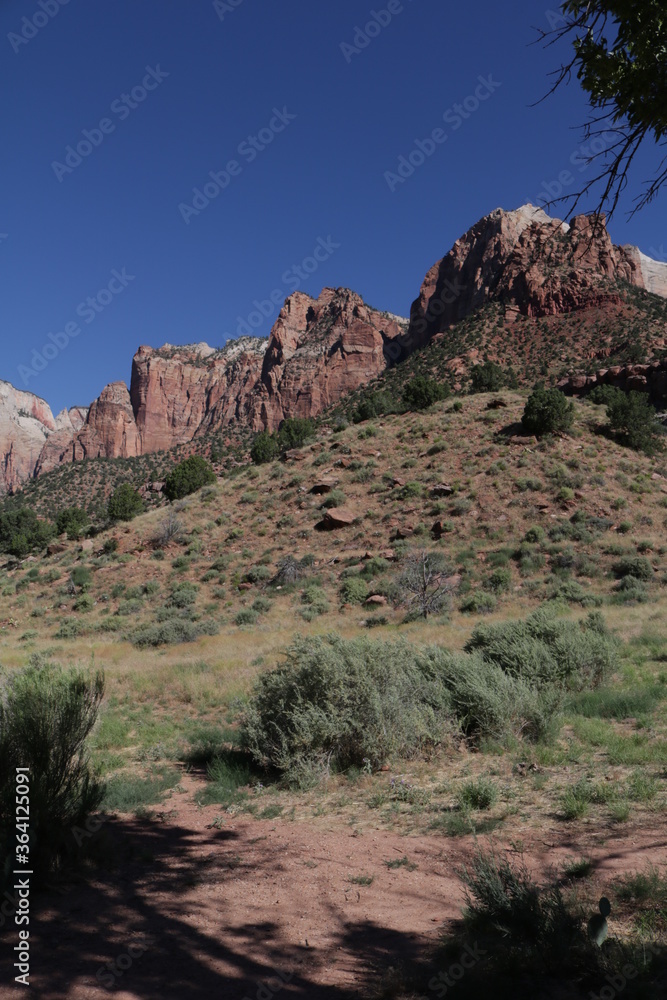 Exploring Zion National Park in summer Exploring Zion National Park in summer
