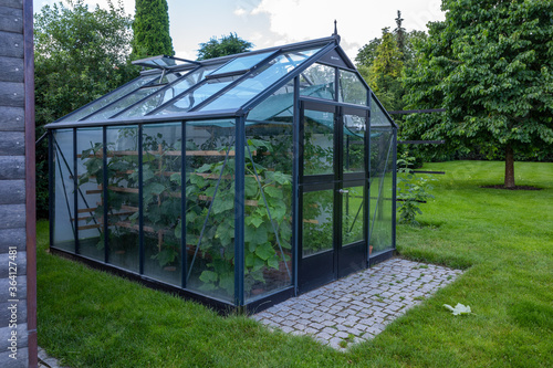 Fototapeta small greenhouse stands in a garden