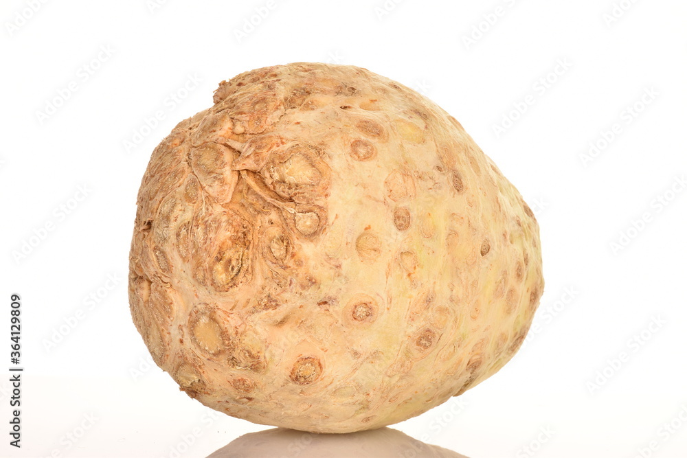 Celery root, close-up, isolated on white
