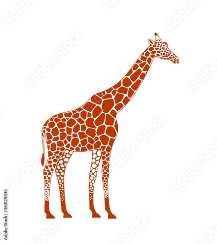 Giraffe logo. Isolated giraffe on white background