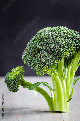 Wallpaper Mural Standing Green Fresh Broccoli with Dark Background Torontodigital.ca
