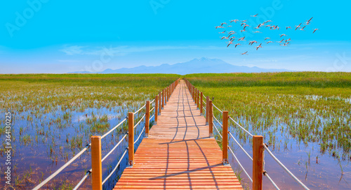 Flamingos flying over bird paradise - Beautiful landscape and Sultanmarshes (bird paradise) next to erciyes mountain, Kayseri photo