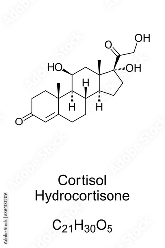 Cortisol, chemical structure. Steroid hormone. When used as medication, it is known as hydrocortisone. It prevents the release of substances in the body that cause inflammation. Illustration. Vector.