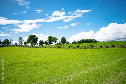 landscape with green field and blue sky