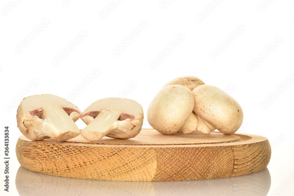 Fresh mushrooms on a wooden board, close-up, on a white background.