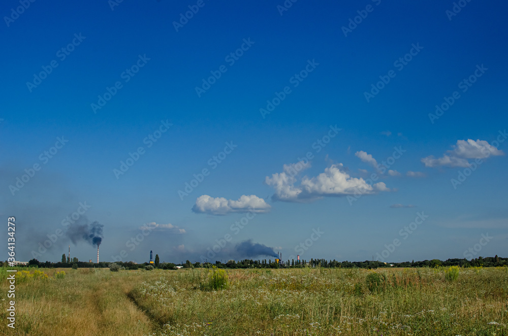 Landscape field Landscape field