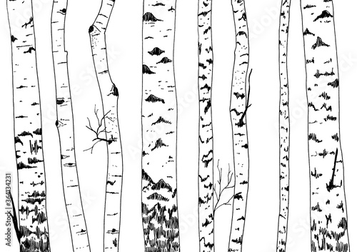 Birches repeated border. Hand drawn trees  silhouettes. Ink drawing on a white paper.