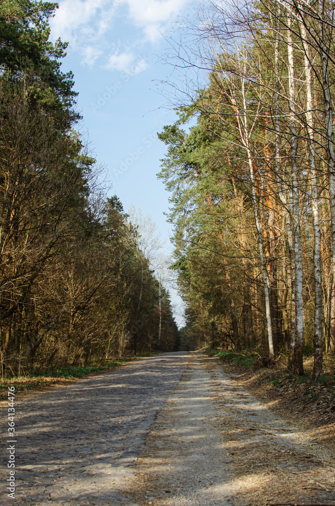 Obraz premium road, way forward