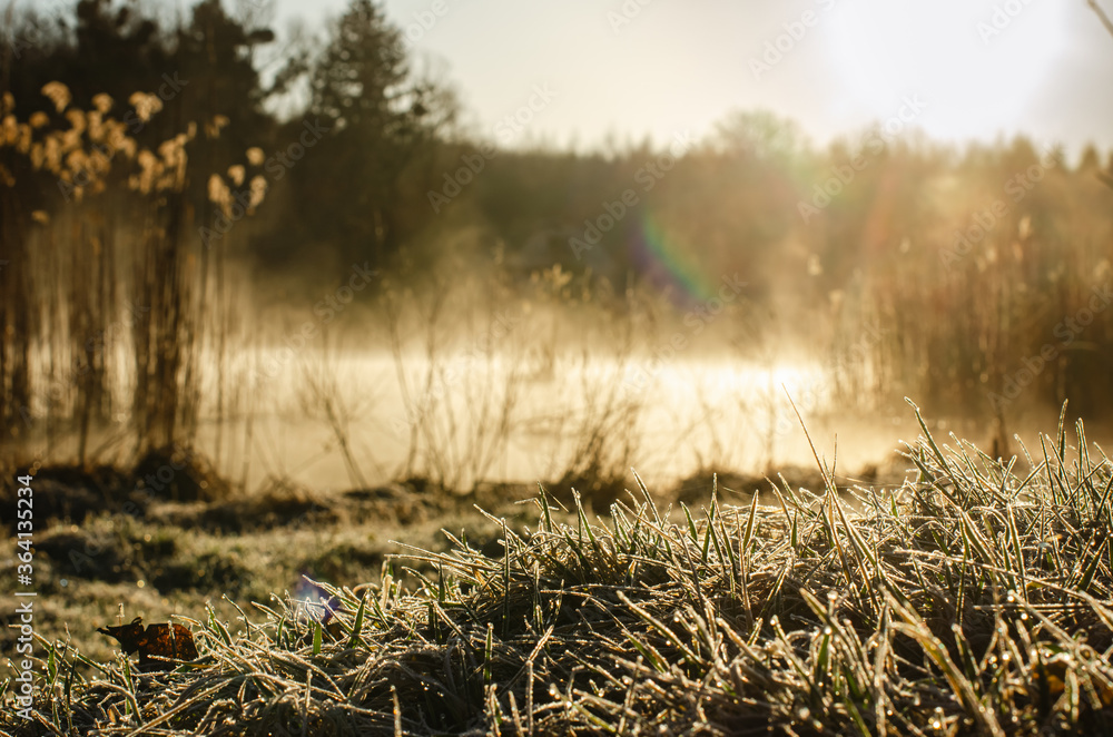 Fototapeta premium lake