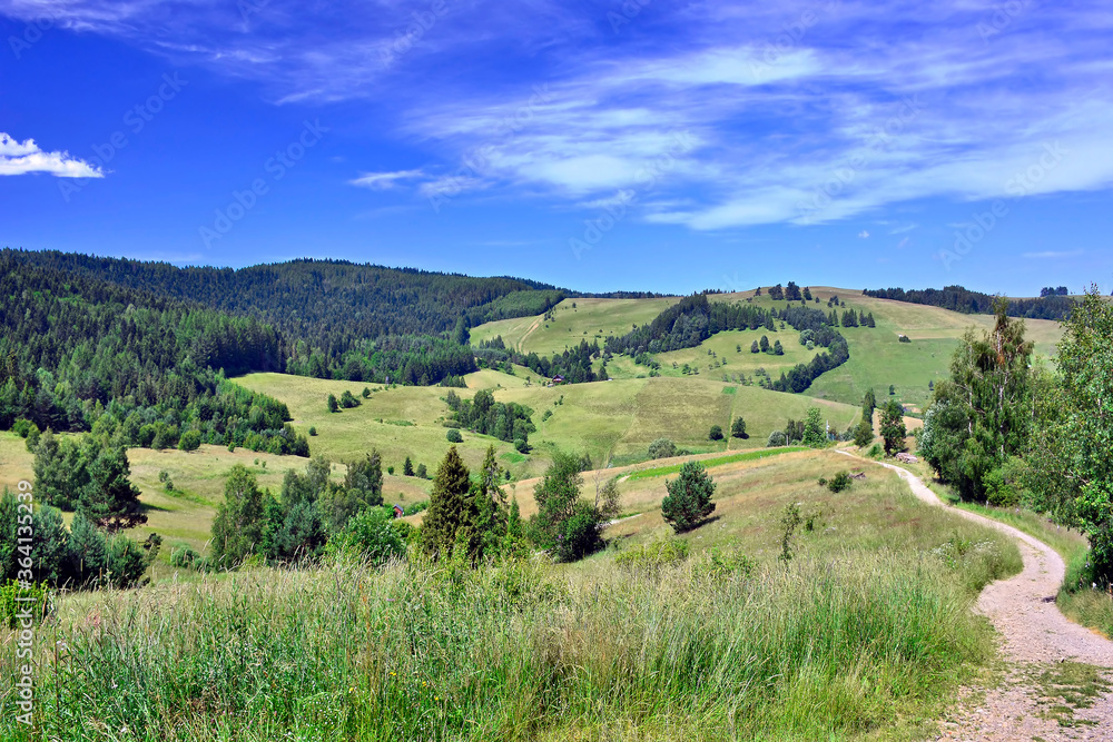 Summer mountains landscape, Low Beskids, Poland
Rural country road in a grassy meadow on a blue sky with white clouds background. 
