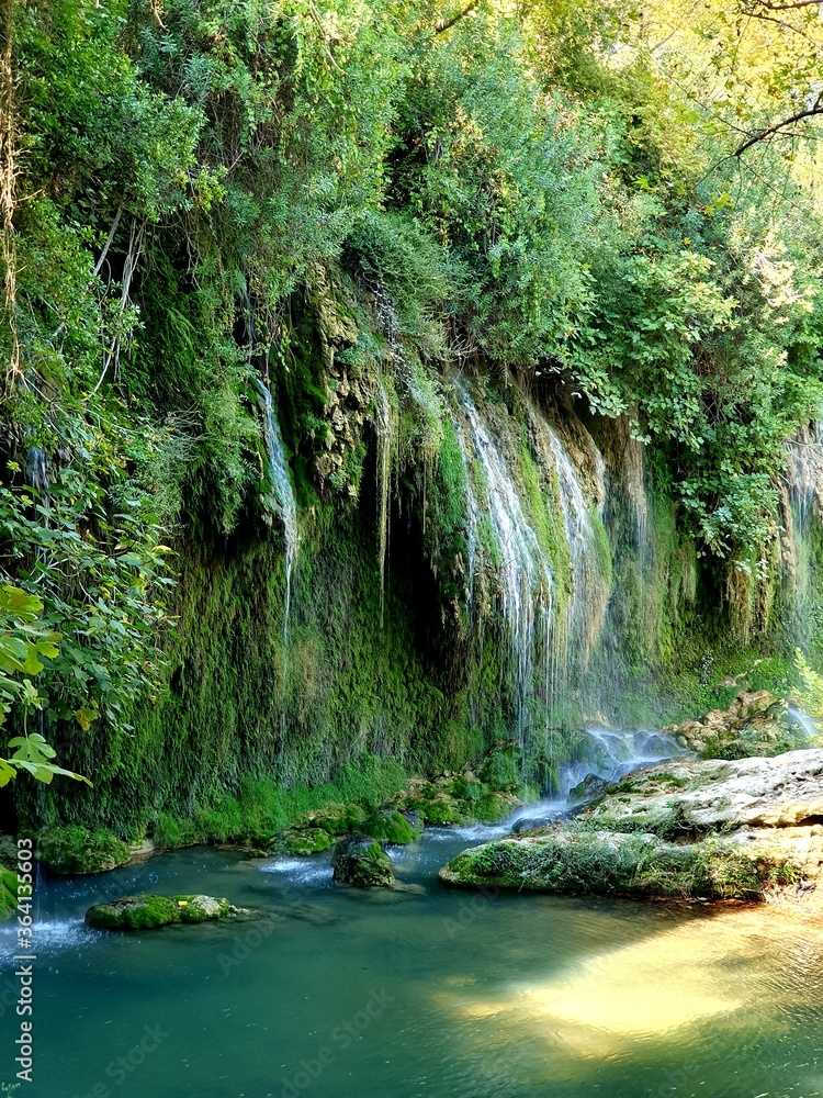 Naklejka premium stream in the forest