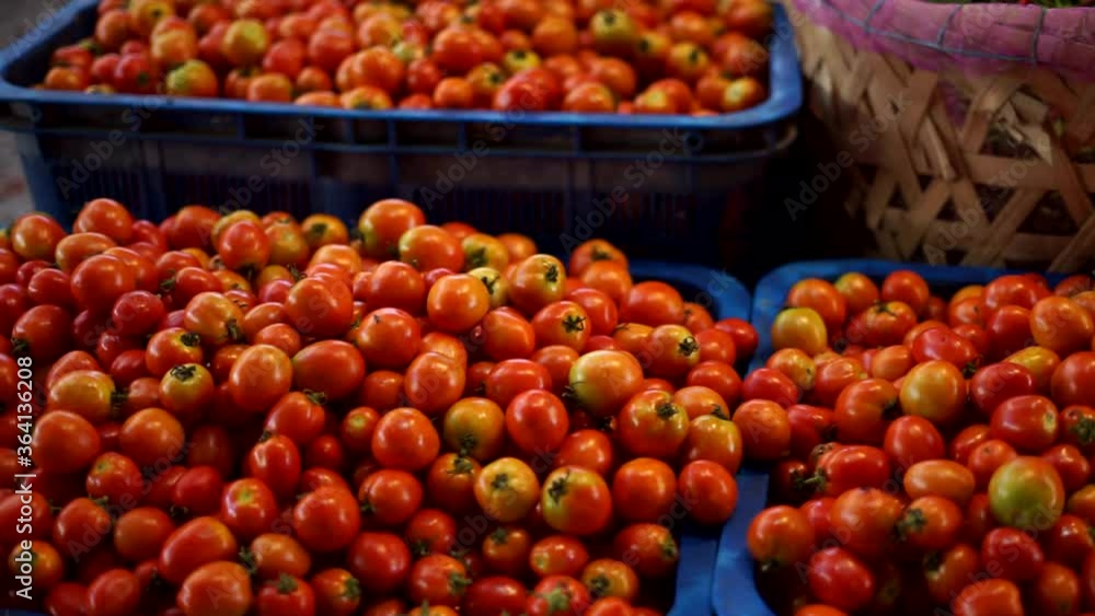 Pile of organic Tomatoes for sale at traditional vegetables market Pile of organic Tomatoes for sale at traditional vegetables market