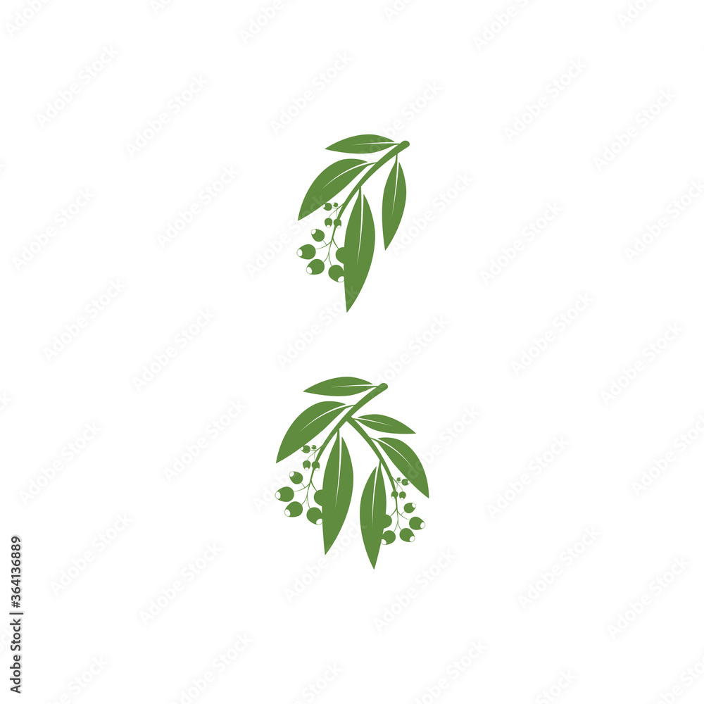 Fototapeta premium Eucalyptus leaves logo vector template