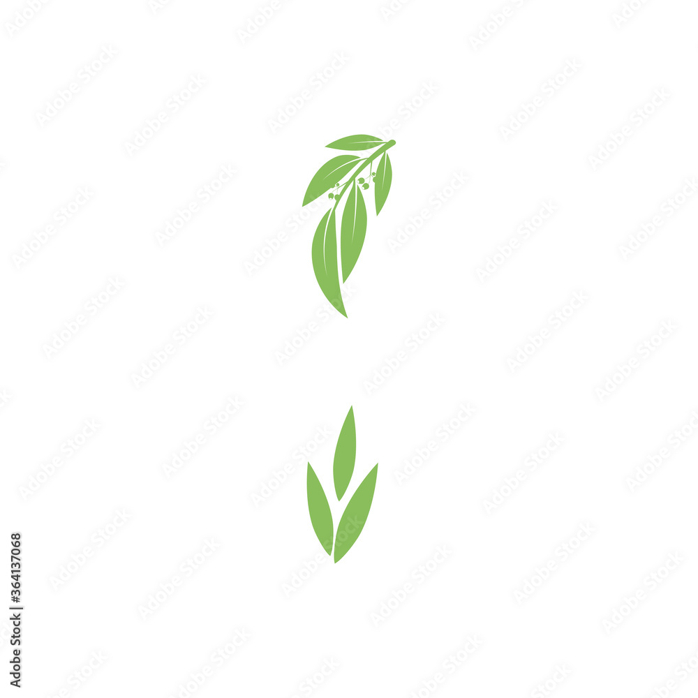 Eucalyptus leaves logo vector template Eucalyptus leaves logo vector template