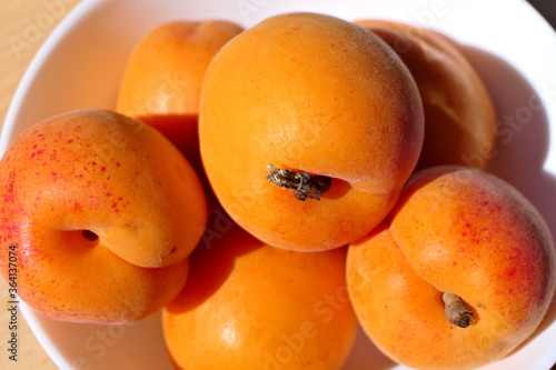 Canvas-taulu Closeup group of ripe fresh and sunlit apricots in a white bowl
