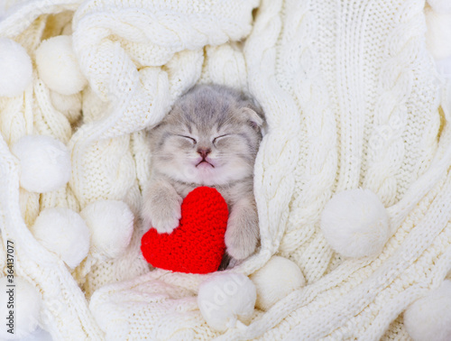 A small gray fold kitten sleeps in a white knitted scarf hugging a plush heart with its paws. Valentine's Day Greeting Card