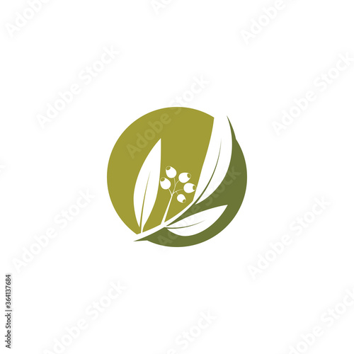 Eucalyptus leaves logo vector template