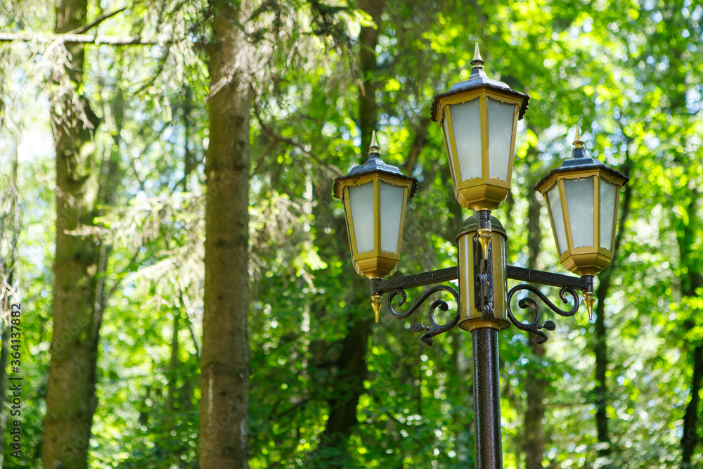 street lamp in the park on a sunny day street lamp in the park on a sunny day