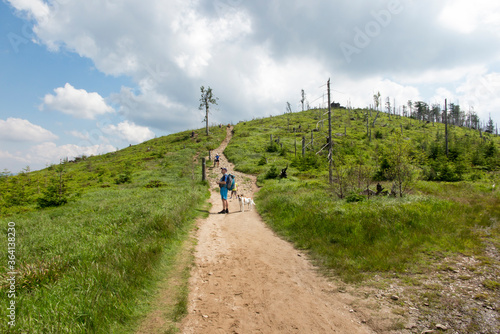 Skrzyczne, Poland, July 04, 2020: Hiking along a mountain trail in the Silesian Beskids near the Skrzyczne peak photo