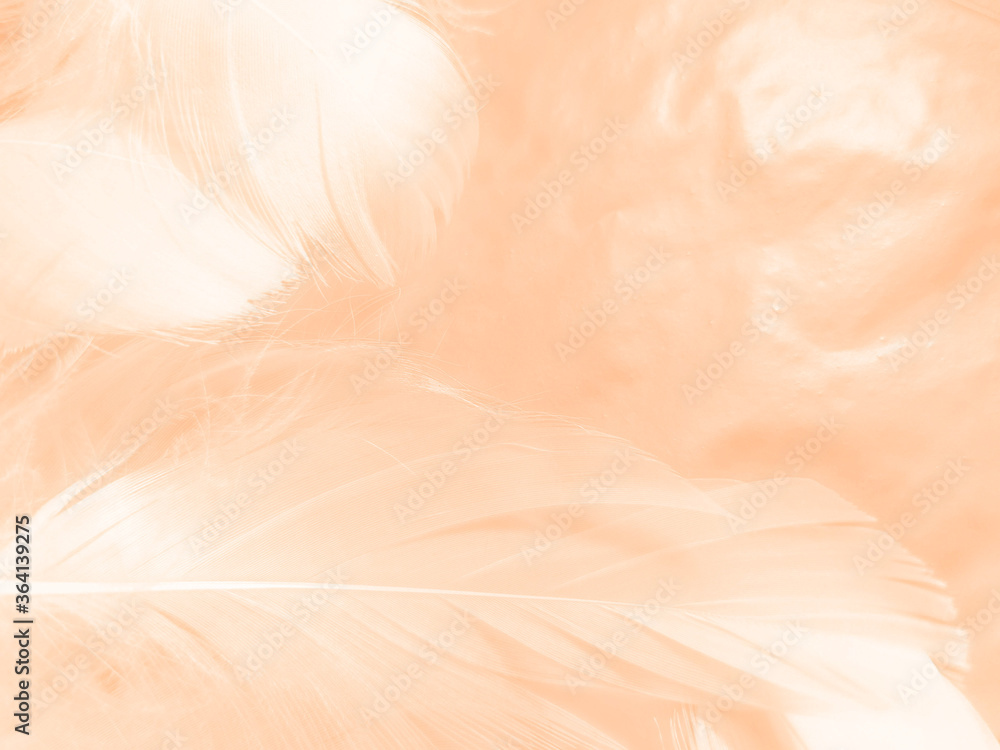 Beautiful abstract white and light orange feathers on white background, soft brown feather texture on white patter, yellow feather background