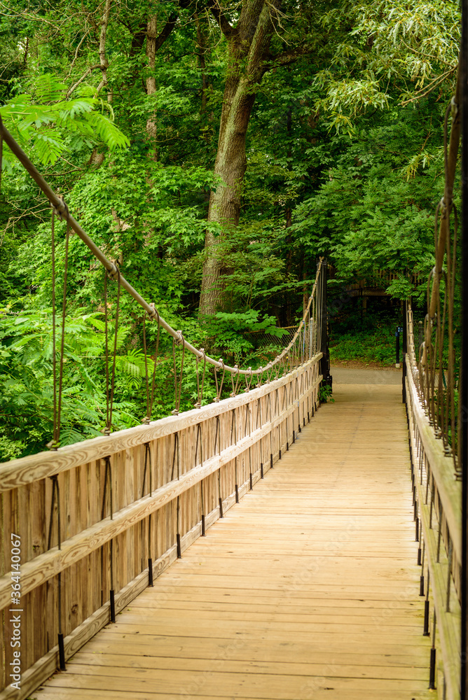 Fototapeta premium wooden bridge in the forest