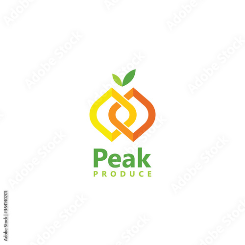 company logo vector 