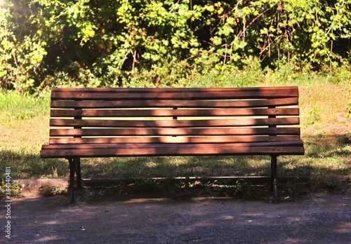 wooden bench in a public city park