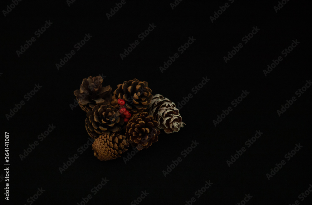 Fototapeta premium Decorative arrangement of pine cones and holly berries, fall palette, in a black background