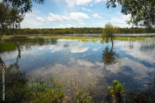 Flooded wetlands in Northern Territory. Australia.