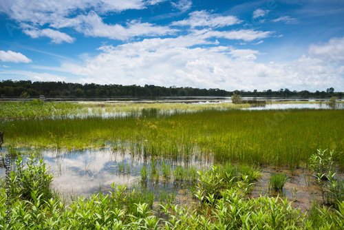 Flooded wetlands during the wet season photo