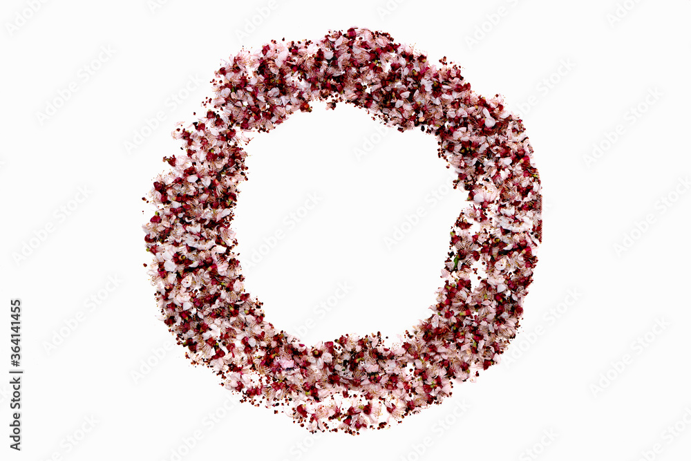 Obraz premium circle made of dried fallen sakura petals isolated