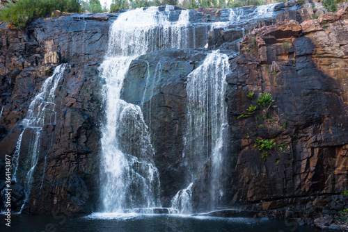 Grampians iconic MacKenzie Falls  one of the largest and most spectacular waterfalls in Victoria  Australia.