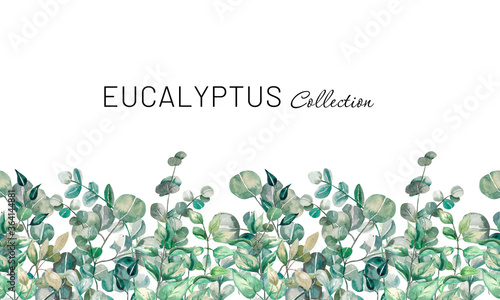 Watercolor illustration. Seamless pattern. Seamless watercolor border of eucalyptus and greenery.