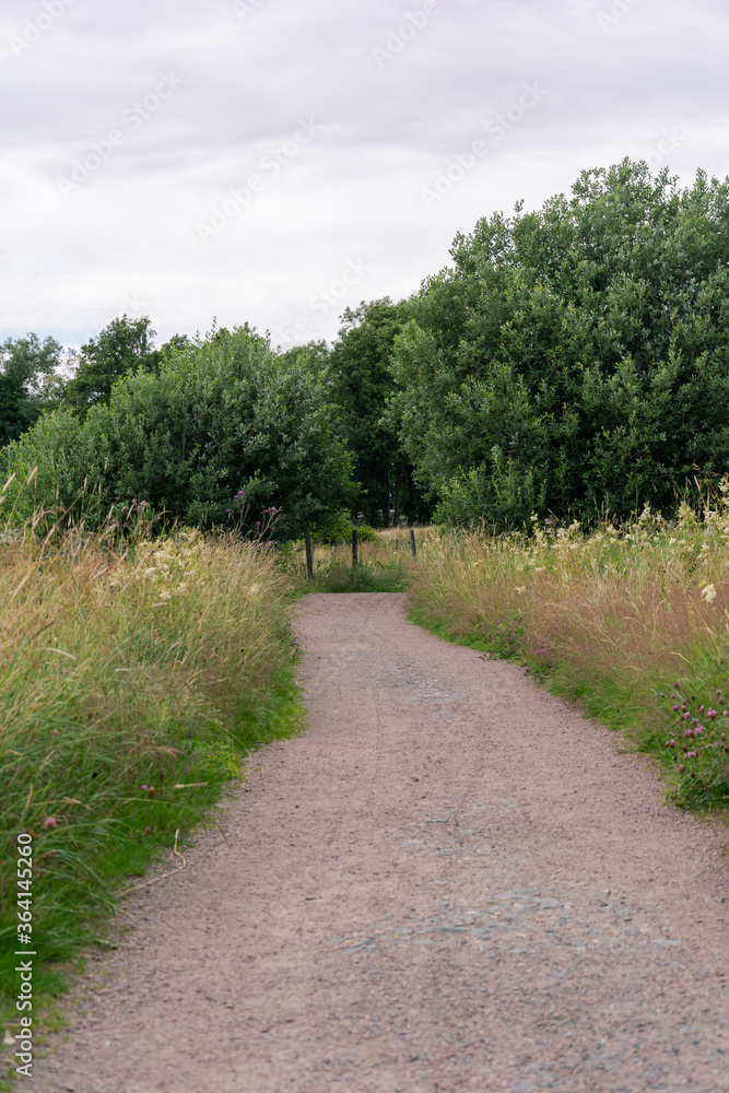 Vertical composition of pathway with green grass and fresh flowers in gothenburg sweden Vertical composition of pathway with green grass and fresh flowers in gothenburg sweden