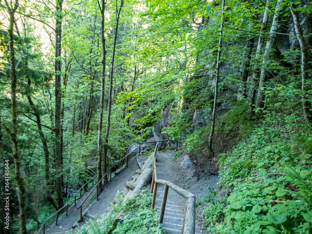 The Starzlachklamm in Allgau The Starzlachklamm in Allgau