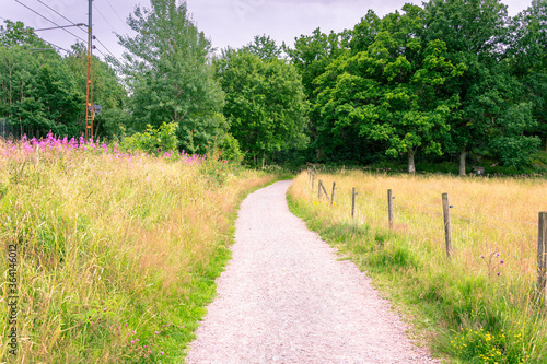 Horizontal composition of pathway with green grass and wooden fence in gothenburg sweden