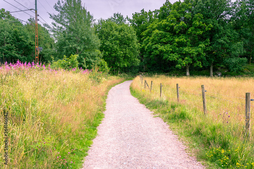 Horizontal composition of pathway with green grass and wooden fence in gothenburg sweden