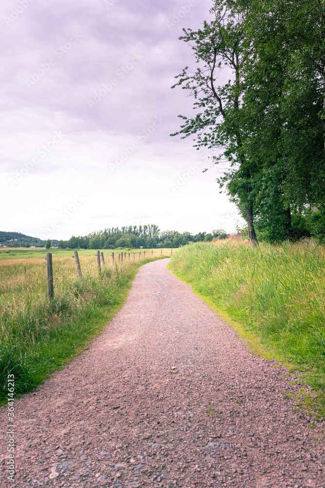 Vertical composition of pathway with green grass and fresh flowers in gothenburg sweden Vertical composition of pathway with green grass and fresh flowers in gothenburg sweden