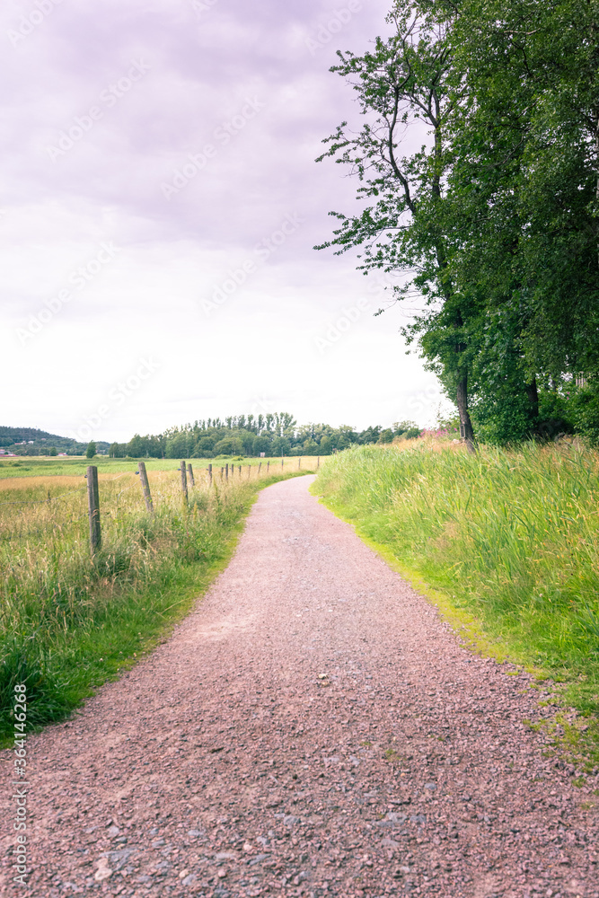Vertical composition of pathway with green grass and fresh flowers in gothenburg sweden Vertical composition of pathway with green grass and fresh flowers in gothenburg sweden