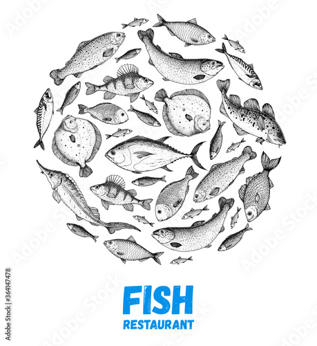 Fish sketch collection. Hand drawn vector illustration. School of fish vector illustration. Food menu illustration. Hand drawn fish set. Engraved style. Sea and river fish logo