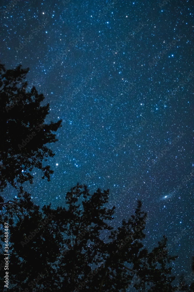 Night Sky With Stars
