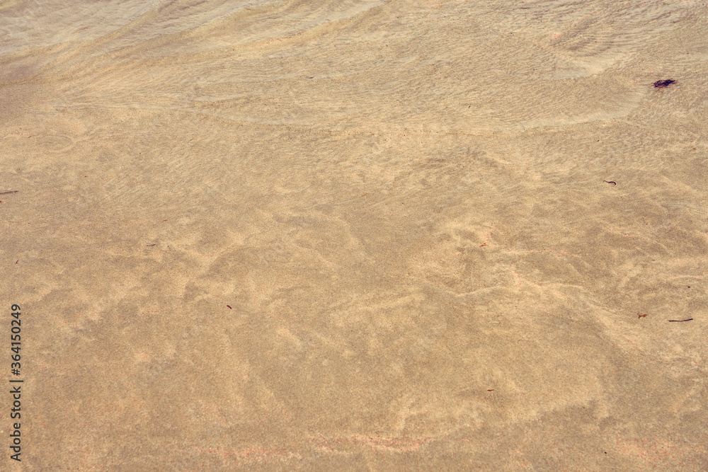 A texture of a wet sand on the beach as a natural background. A texture of a wet sand on the beach as a natural background.