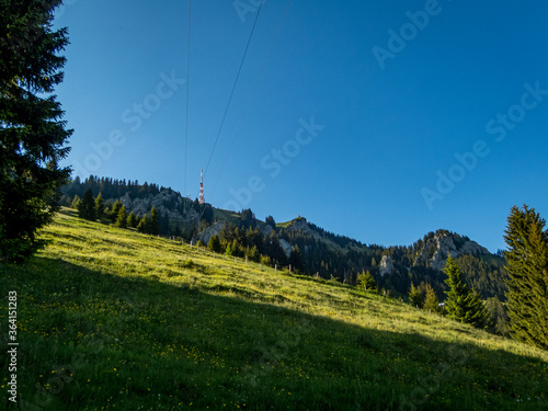 Grunten Guardian of the Allgau photo