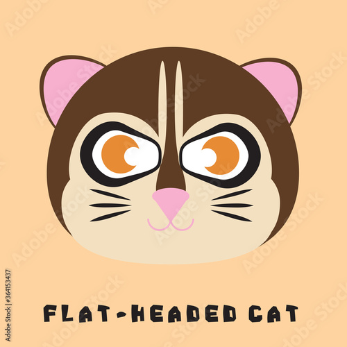 Photography Cartoon illustration of tiger face (Flat-Headed cat), eps10 vector format