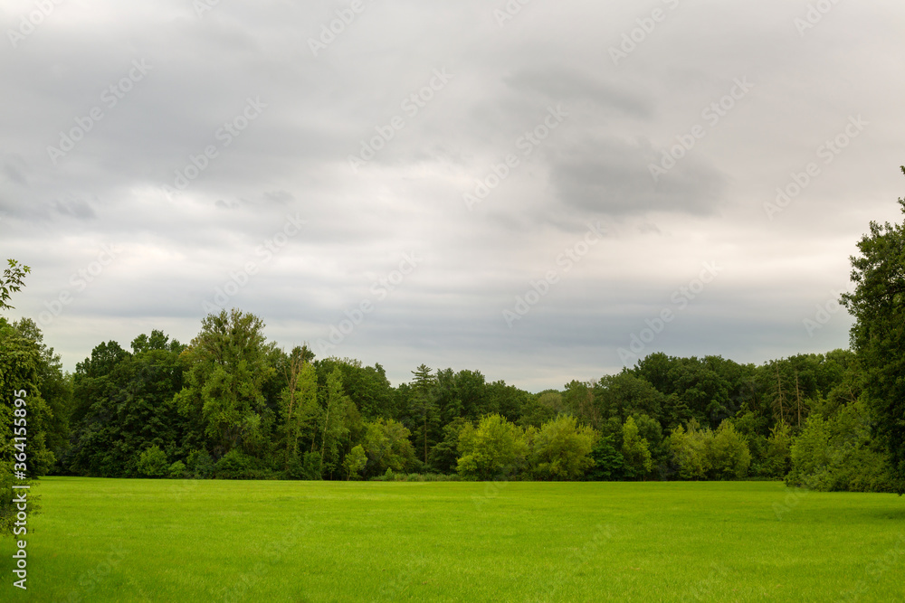 green field surrounded by trees on a cloudy day. cloudy sky. blurred background. High quality photo