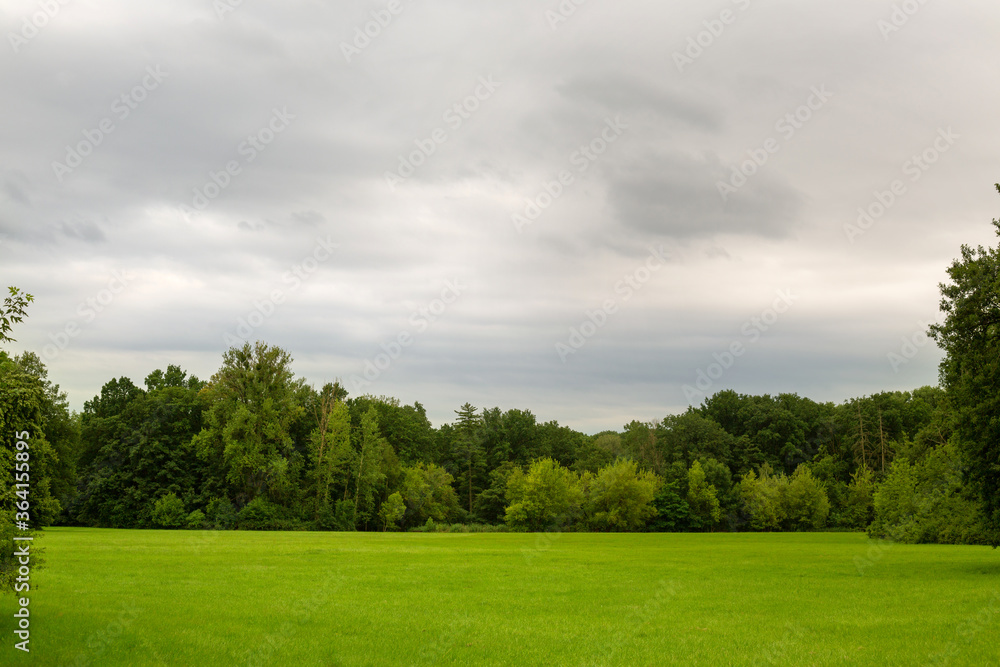 green field surrounded by trees on a cloudy day. cloudy sky. blurred background. High quality photo green field surrounded by trees on a cloudy day. cloudy sky. blurred background. High quality photo