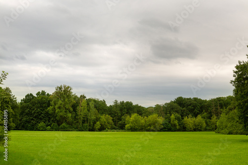 green field surrounded by trees on a cloudy day. cloudy sky. blurred background. High quality photo © Margo_Alexa