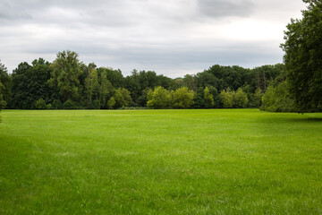 green field surrounded by trees on a cloudy day. cloudy sky. blurred background. High quality photo