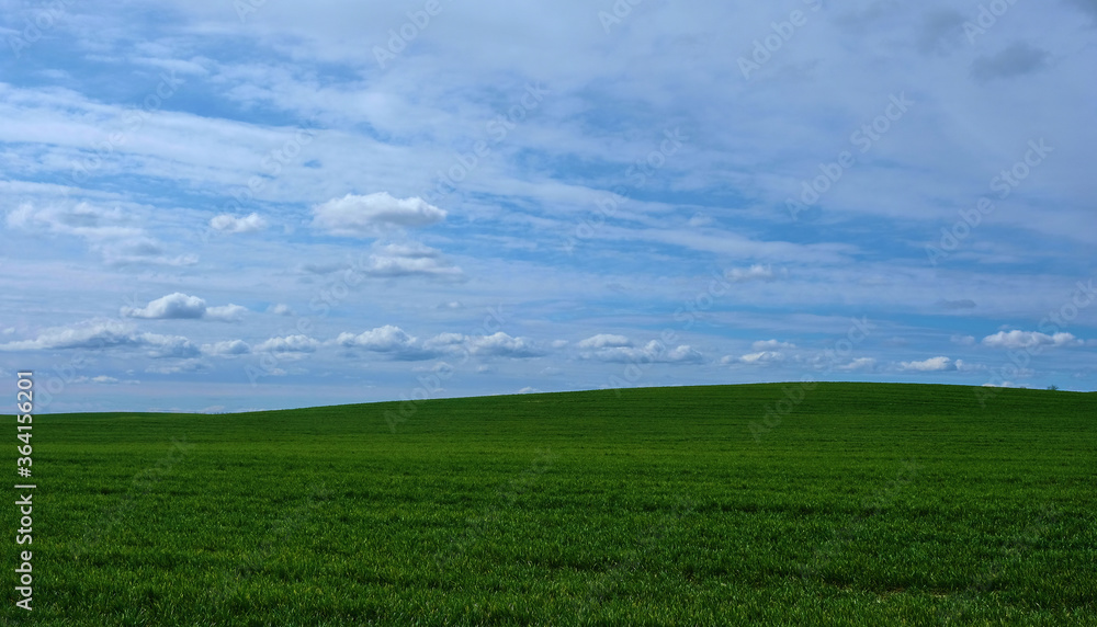 Obraz premium Green field against the blue sky
