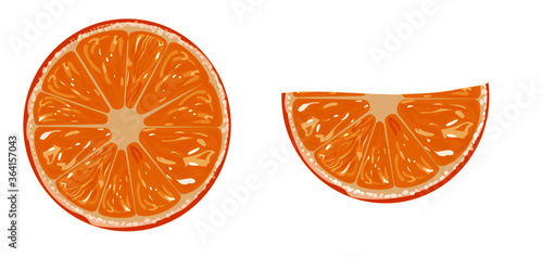ILLUSTRACION VECTORIAL DE NARAJAS